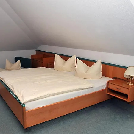 Hotel Friesen Werdau