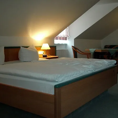 Friesen Hotel 3*