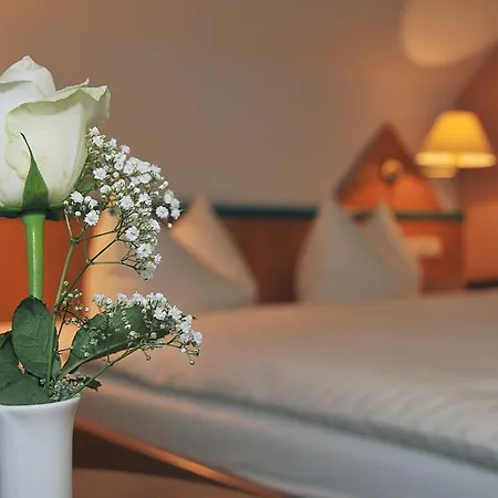 Friesen Hotel 3*