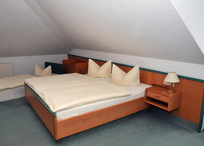 فندق Friesen Werdau